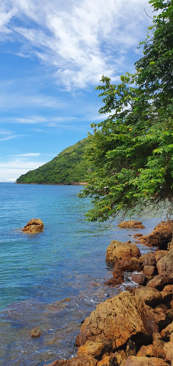 VIP Housing | Bienes Raices y Relocation