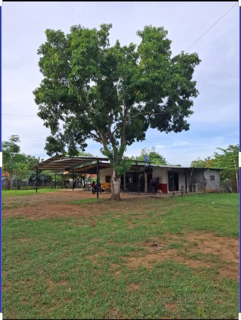 VIP Housing | Bienes Raices y Relocation